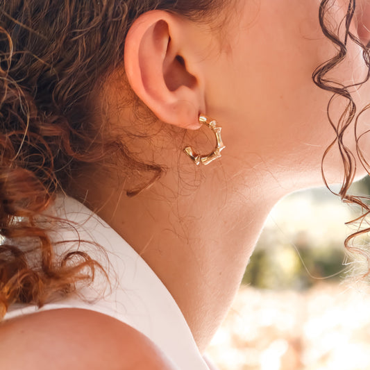 Earring Aristocracy