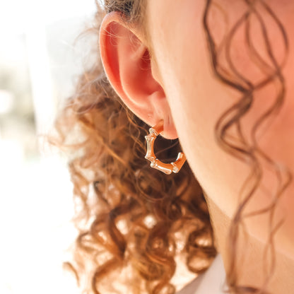 Earring Aristocracy